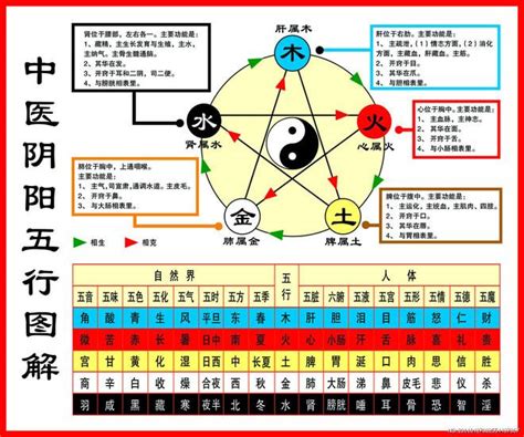 金木水火土相生相克图|一分钟记住，五行相生相克。